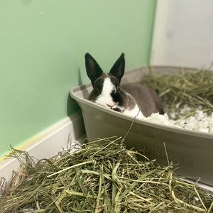 Meet your Posher, Mae